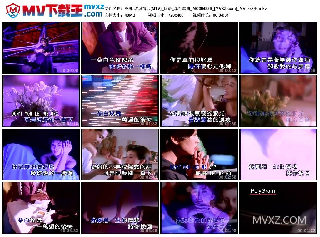 杨林-玫瑰情话(MTV)_国语_流行歌曲_MC304839
